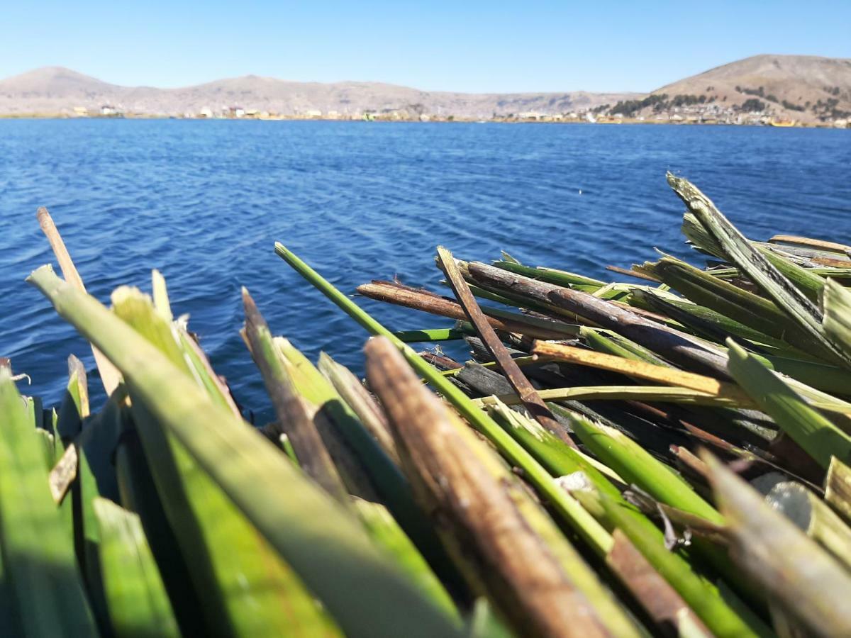 Quechua Lodge Titicaca Пуно Екстериор снимка